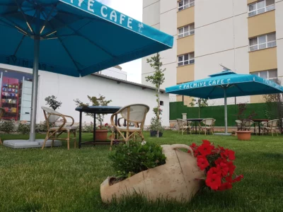 Şemsiye