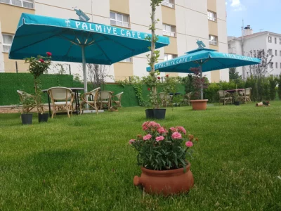 Şemsiye